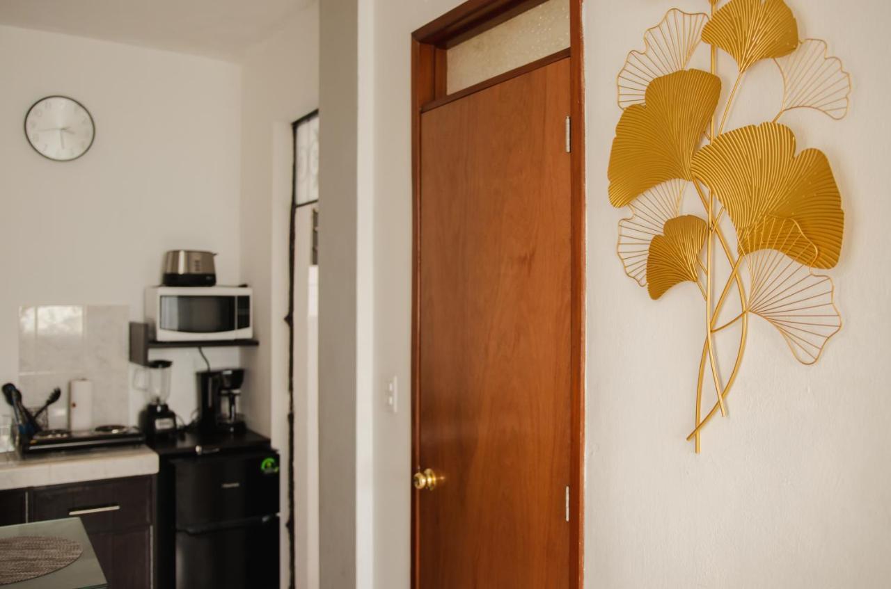 Departamento Orellana 1 Chetumal Zewnętrze zdjęcie